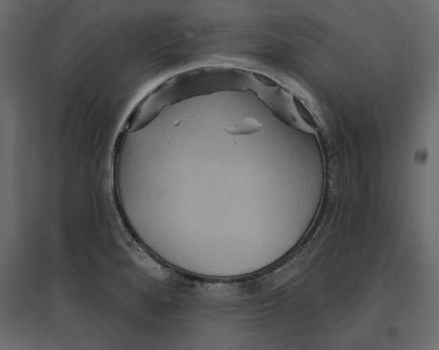 X0000096971280200803070957