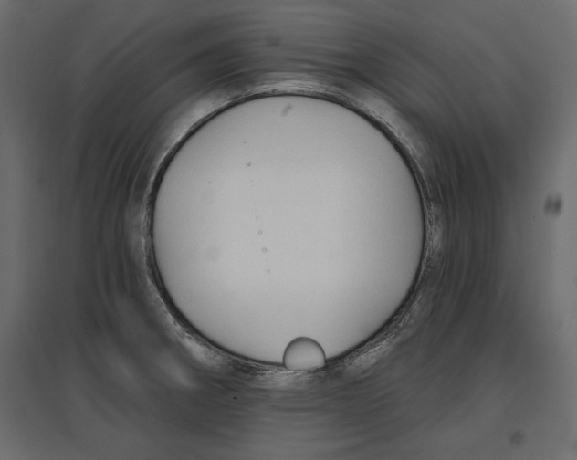 X0000096971282200803070957