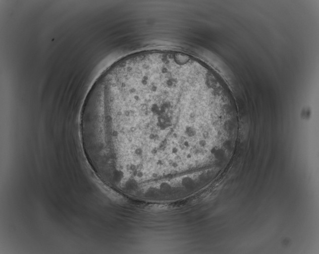 X0000096971283200803070957