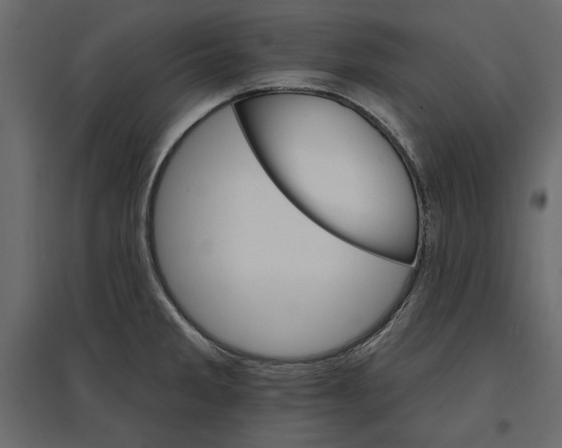 X0000096971285200803070957