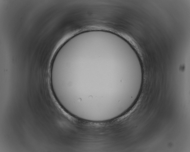 X0000096971286200803070957