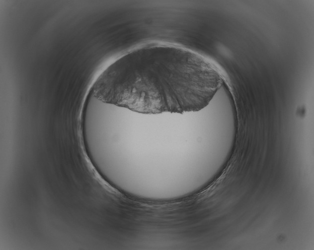 X0000096971287200803070957