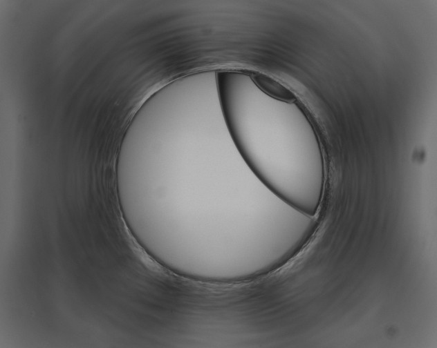 X0000096971289200803070957