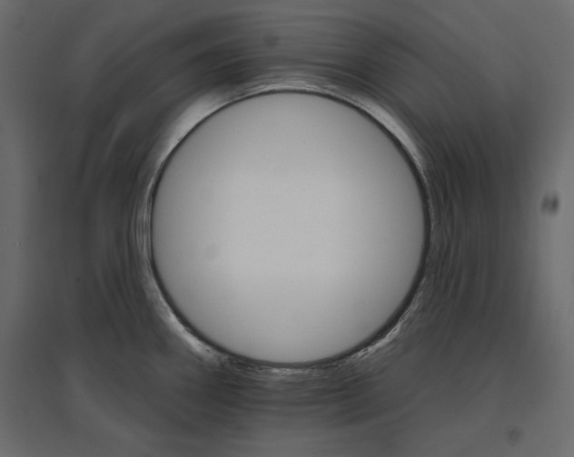 X0000096971290200803070957