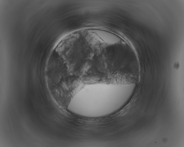 X0000096971291200803070957