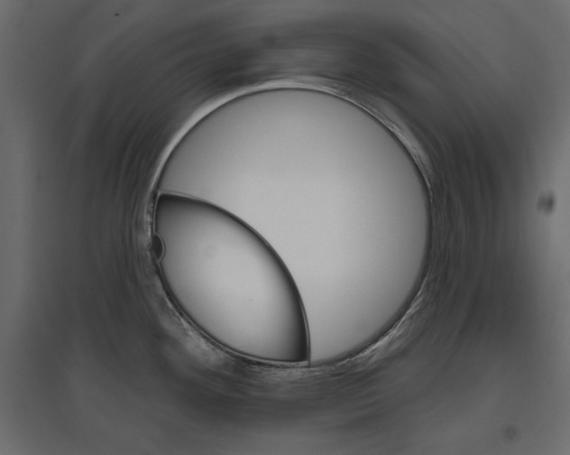 X0000096971292200803070957