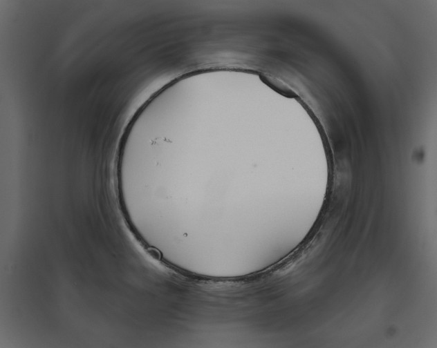 X0000096971293200803070957