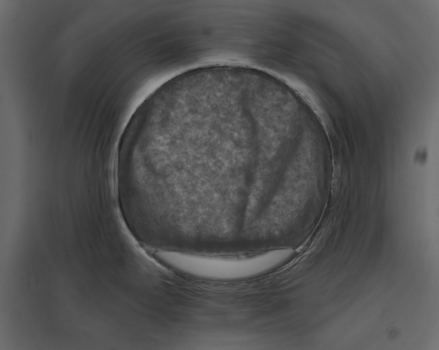 X0000096971295200803070957