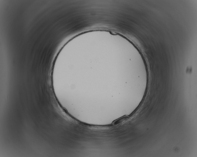 X0000096971296200803070957