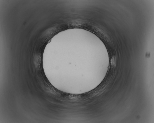 X0000096971299200803070956