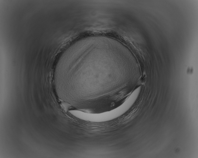 X0000096971300200803070956