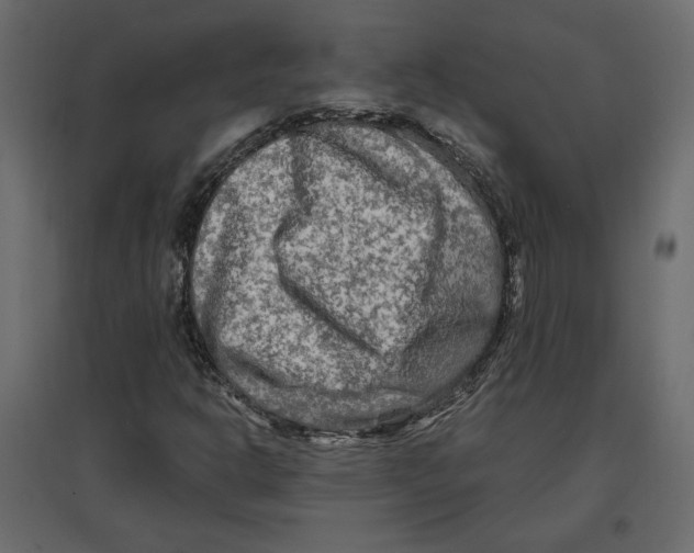 X0000096971302200803070956