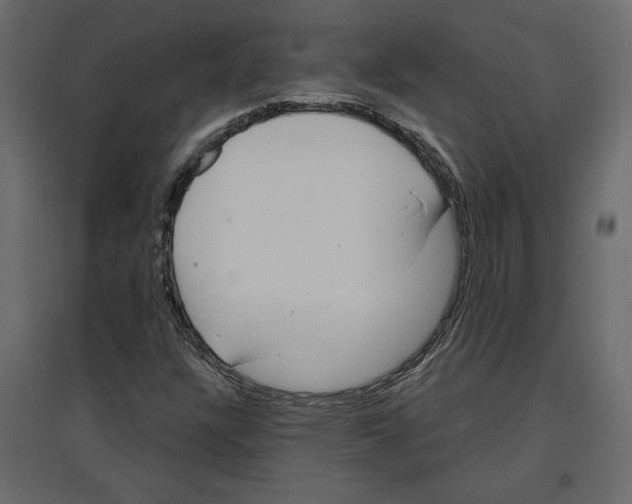 X0000096971304200803070956