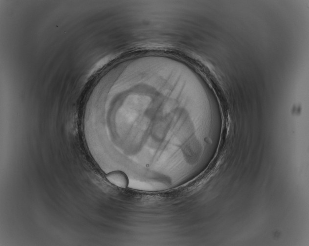 X0000096971306200803070956