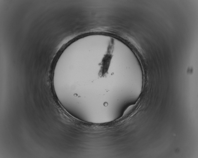 X0000096971308200803070956