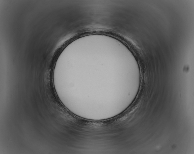 X0000096971309200803070957