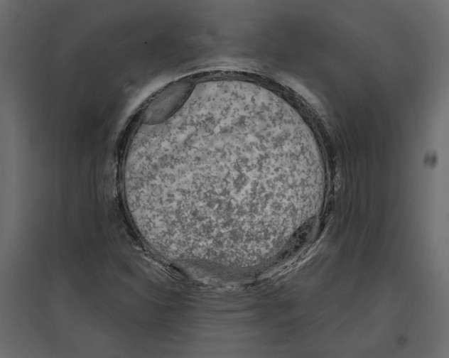 X0000096971310200803070957