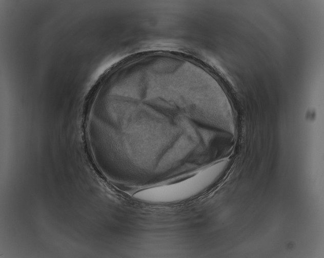 X0000096971312200803070957