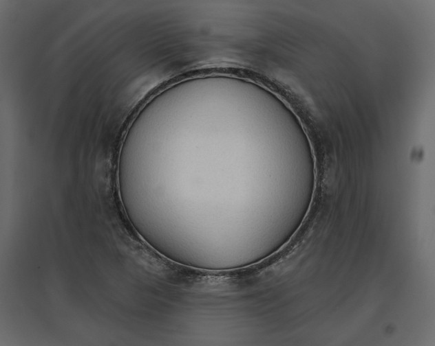 X0000096971313200803070957