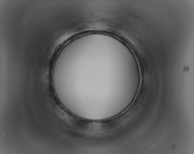 X0000096971315200803070957