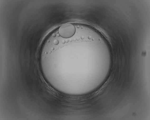 X0000096971318200803070957