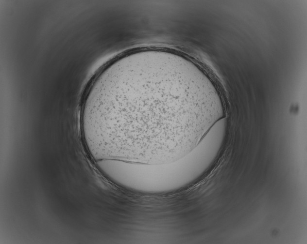 X0000096971320200803070957