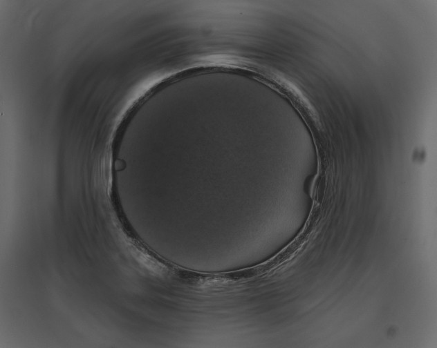 X0000096971323200803070957