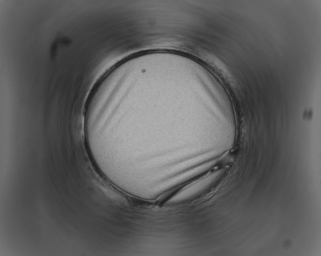 X0000096971324200803070957