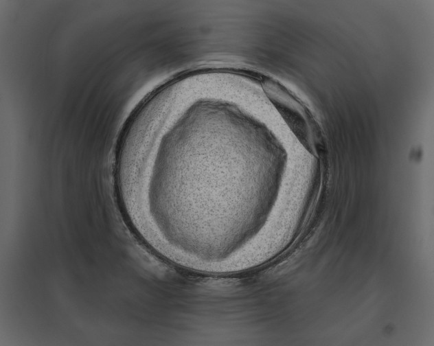 X0000096971325200803070957