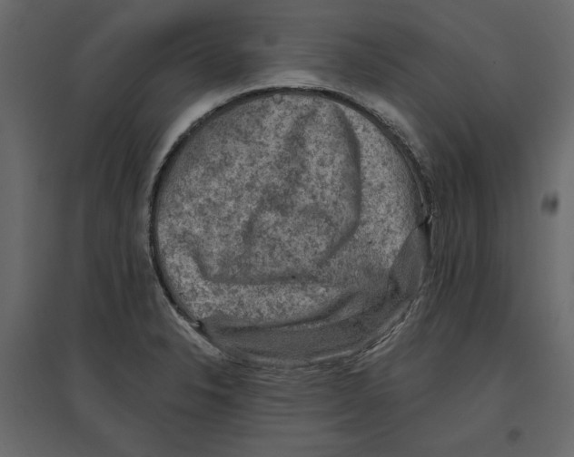 X0000096971326200803070957