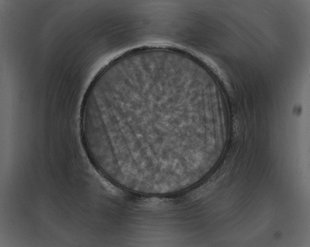 X0000096971327200803070957