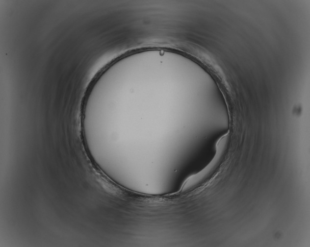 X0000096971328200803070957