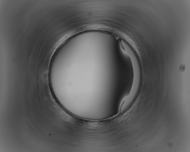 X0000096971330200803070957