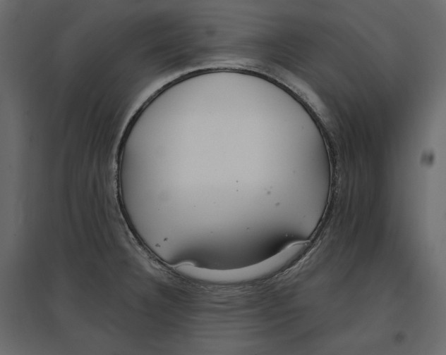 X0000096971332200803070957