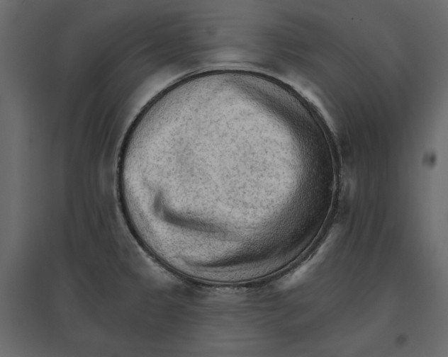 X0000096971333200803070957