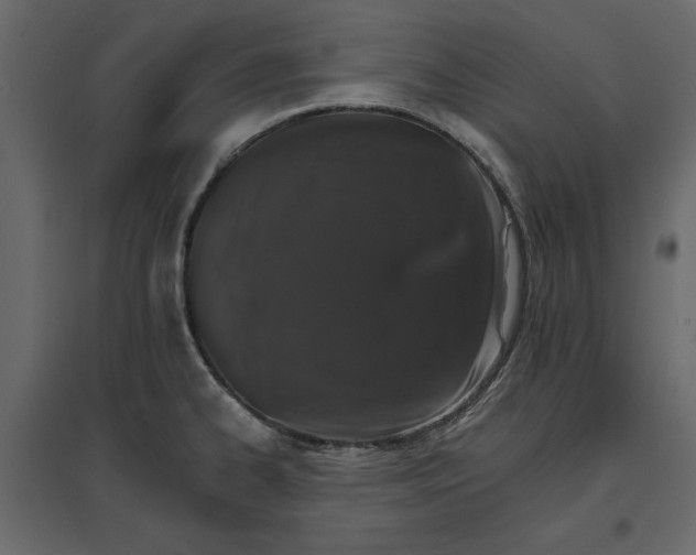 X0000096971334200803070957