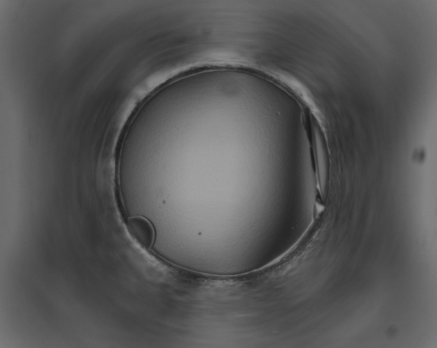 X0000096971335200803070957