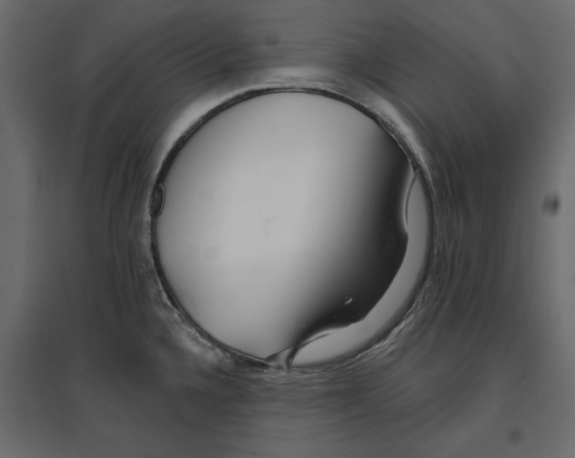 X0000096971336200803070957