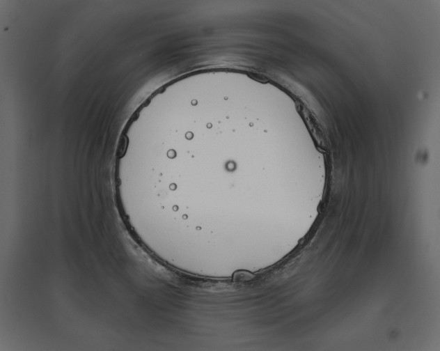 X0000096971338200803070957