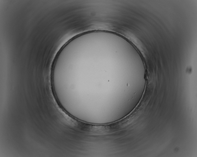 X0000096971339200803070957