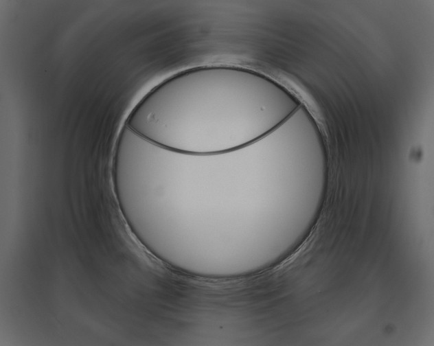 X0000096971340200803070957