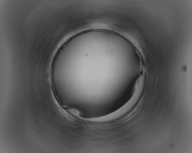 X0000096971342200803070957