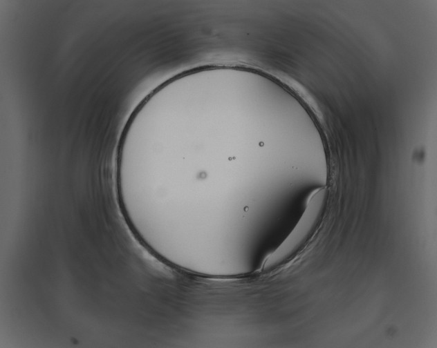 X0000096971343200803070957