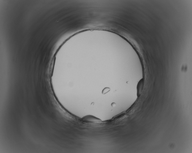 X0000096971344200803070957