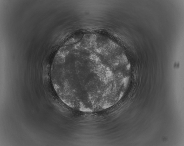 X0000096971346200803070956