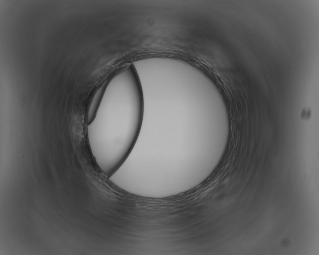 X0000096971348200803070956