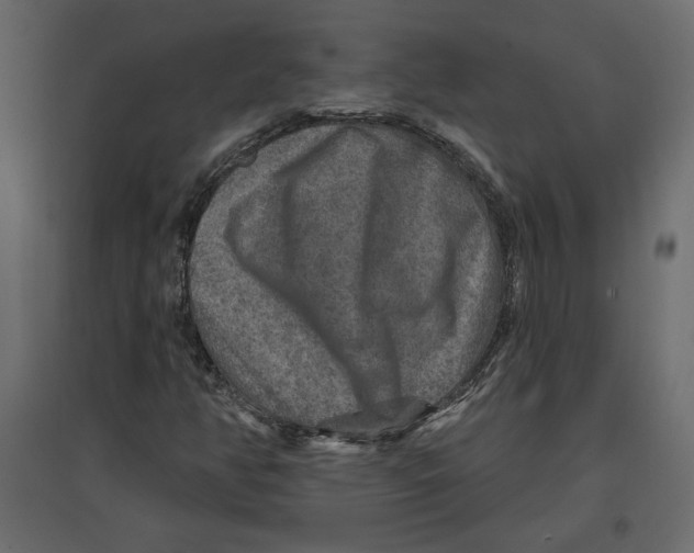 X0000096971350200803070956