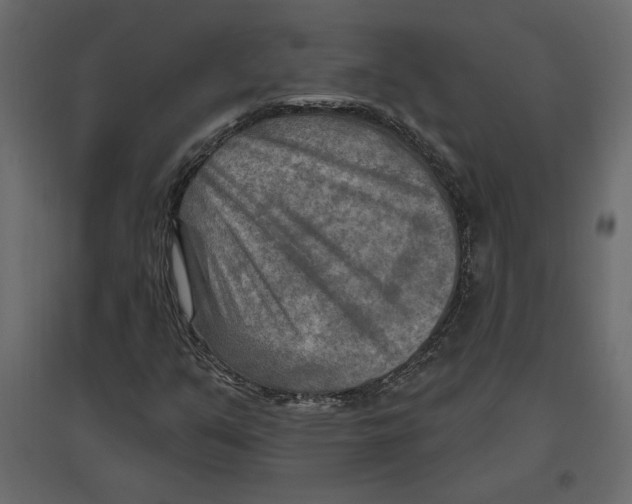 X0000096971351200803070956