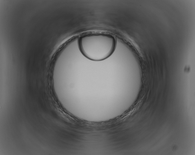 X0000096971352200803070956