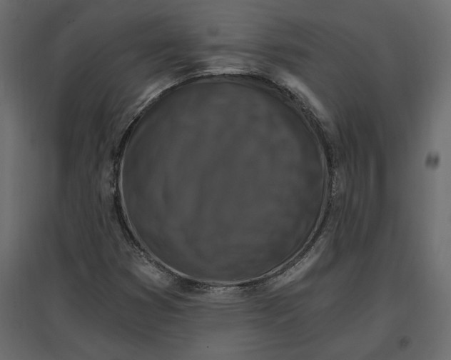 X0000096971353200803070956